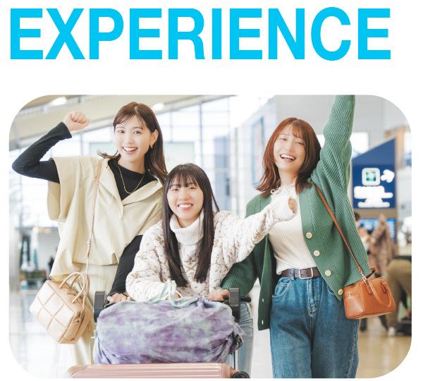 EXPERIENCE
